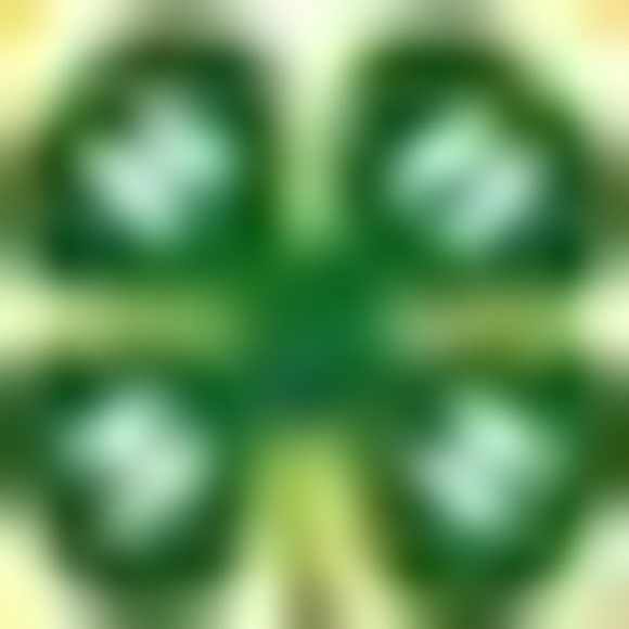 Meet your Posher, Tanya - Picture 1 of 1